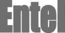 Entel logo